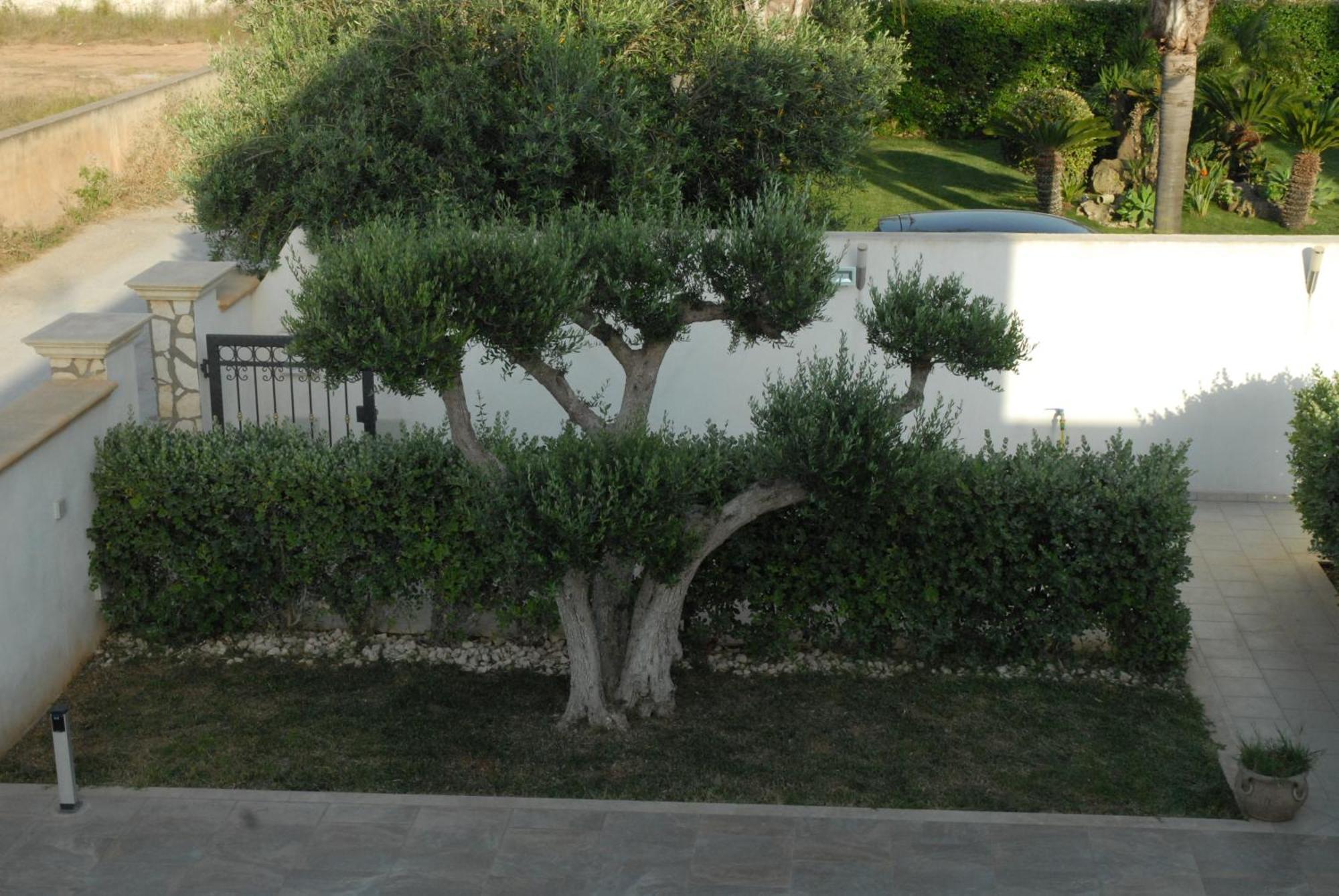 Oasi Tortuga Residence Piscina E Barbecue H24 Mazara del Vallo Exteriér fotografie
